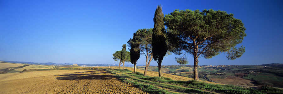All roads lead to roam? - Val d'Orcia, Tuscany